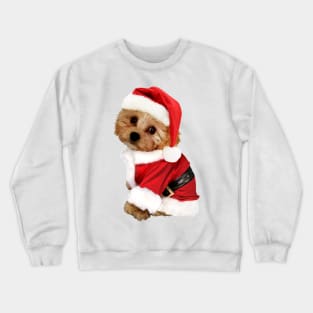 Christmas Cavachon Crewneck Sweatshirt